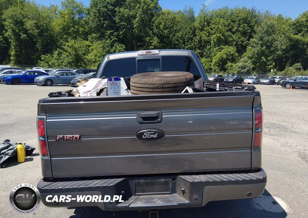 2012 Ford F-150 Fx4 VIN:1FTFW1ETXCFA91622 - 17
