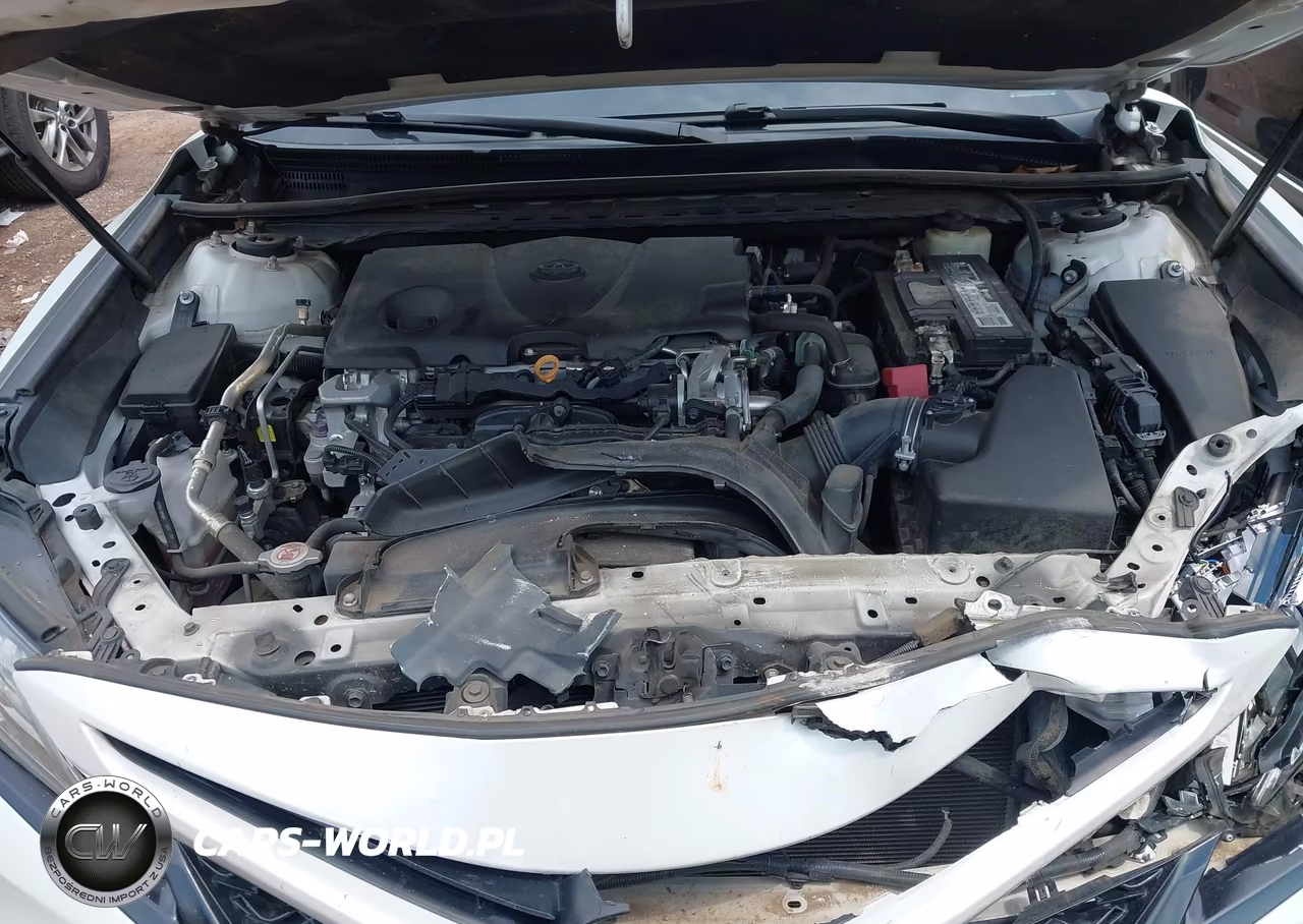 2018 Toyota Camry Xse VIN:4T1B61HK1JU049698 - 10