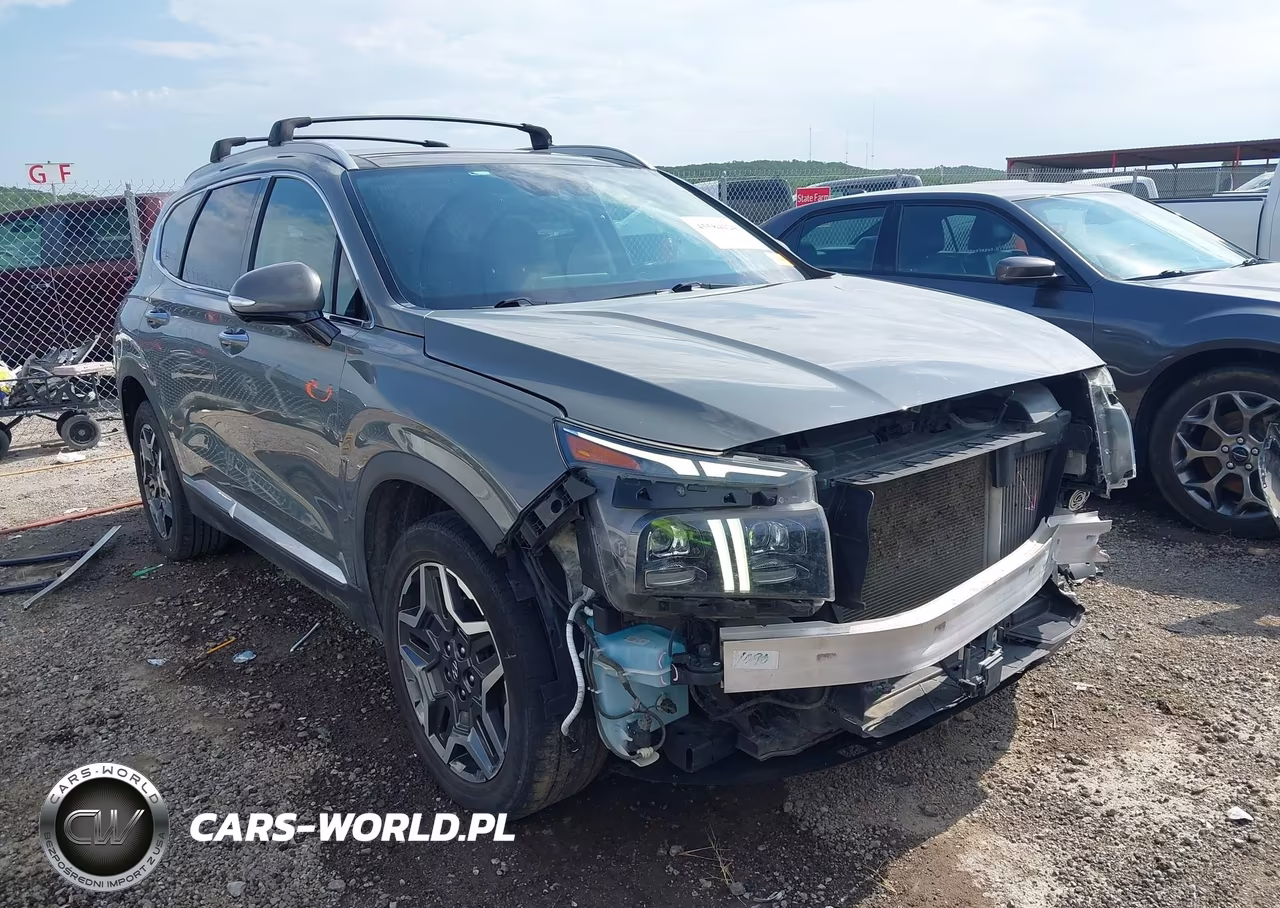 2021 Hyundai Santa Fe Limited VIN:5NMS44AL2MH372667 - 1