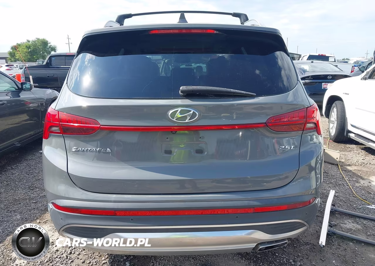 2021 Hyundai Santa Fe Limited VIN:5NMS44AL2MH372667 - 17