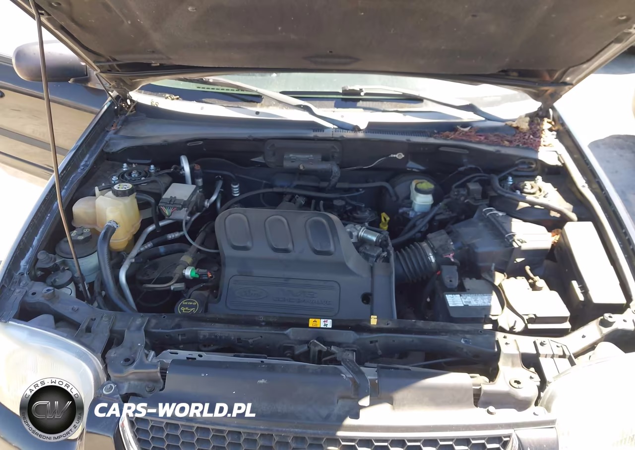 2003 Ford Escape Limited VIN:1FMCU04163KE11119 - 10