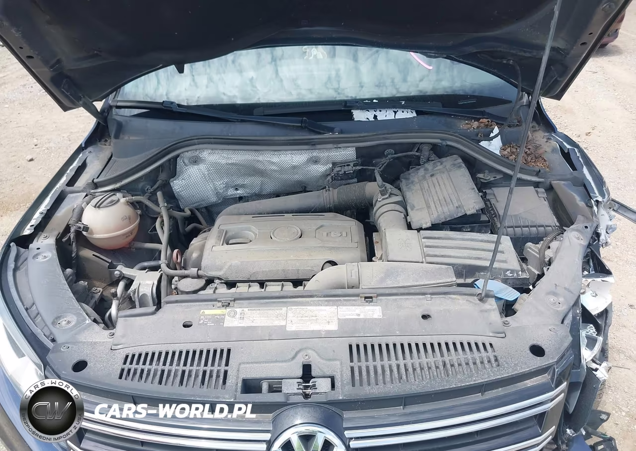 2013 Volkswagen Tiguan S VIN:WVGAV7AX1DW556598 - 10