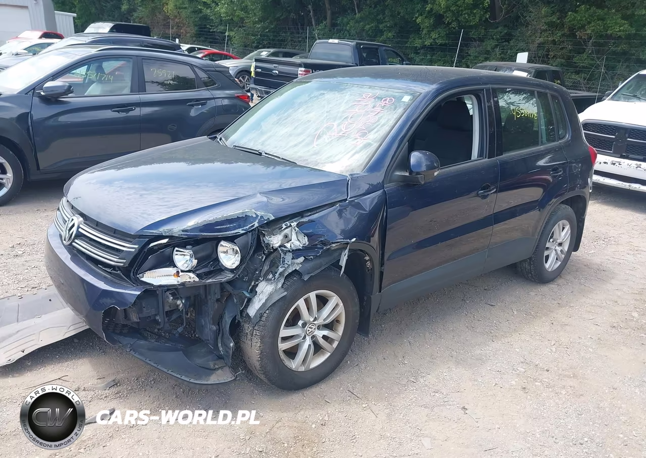 2013 Volkswagen Tiguan S VIN:WVGAV7AX1DW556598 - 2