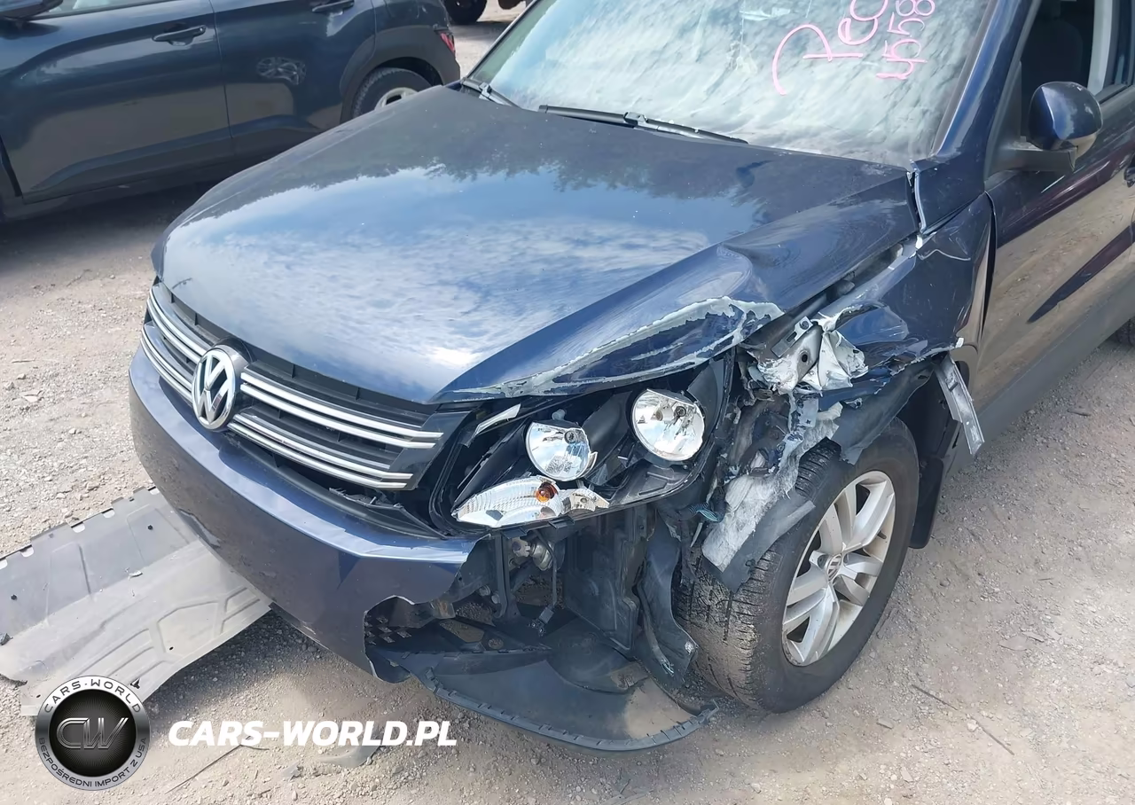 2013 Volkswagen Tiguan S VIN:WVGAV7AX1DW556598 - 6