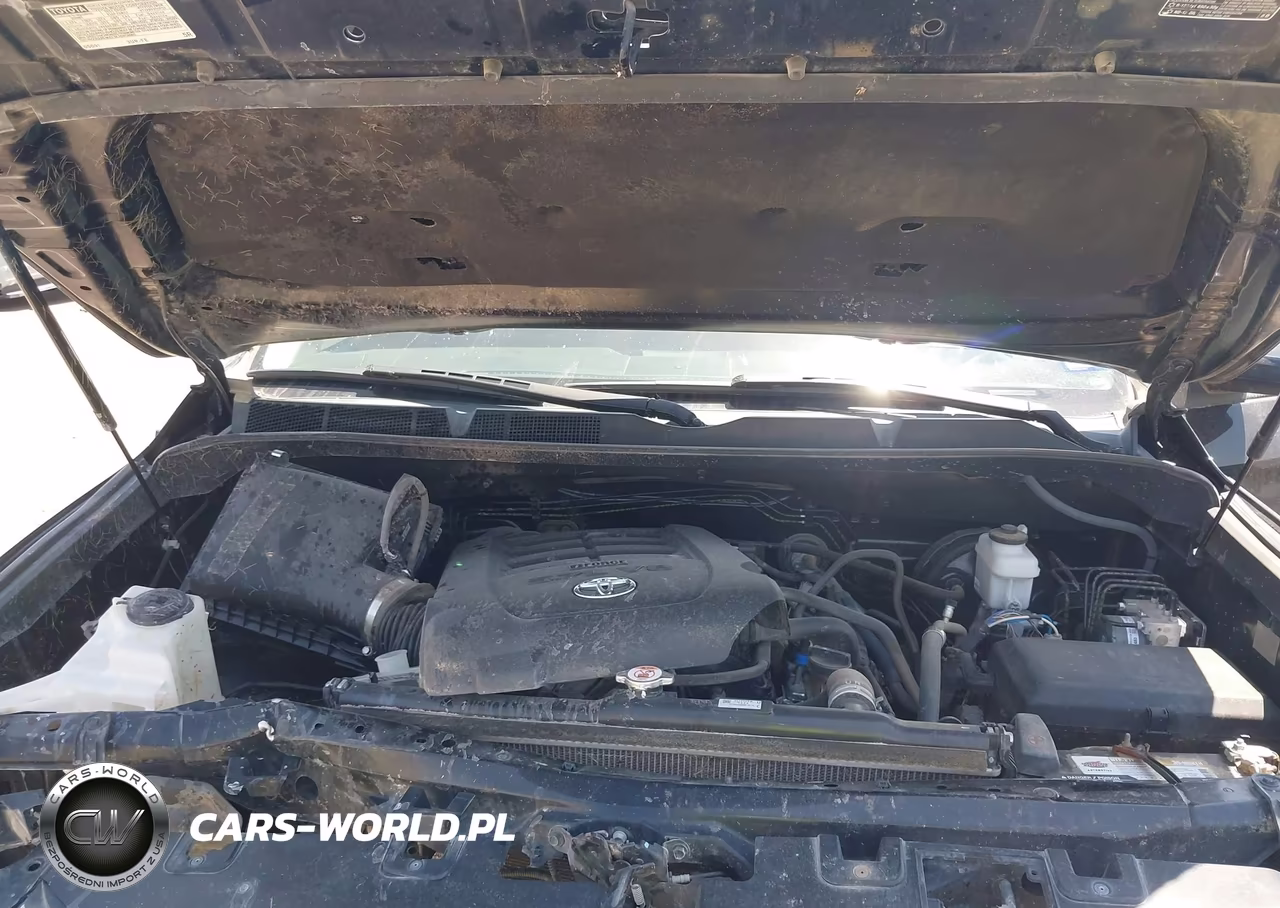 2019 Toyota Tundra 1794 5.7L V8 VIN:5TFAY5F16KX777593 - 10