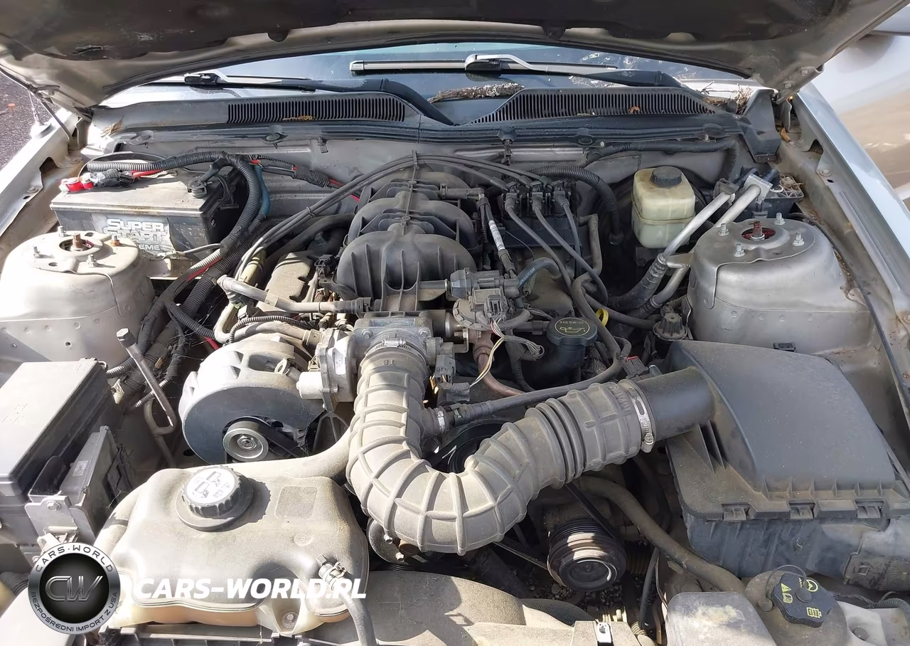 2008 Ford Mustang V6 Deluxe-V6 Premium VIN:1ZVHT80N585155014 - 10