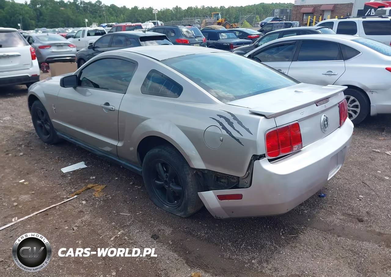 2008 Ford Mustang V6 Deluxe-V6 Premium VIN:1ZVHT80N585155014 - 3