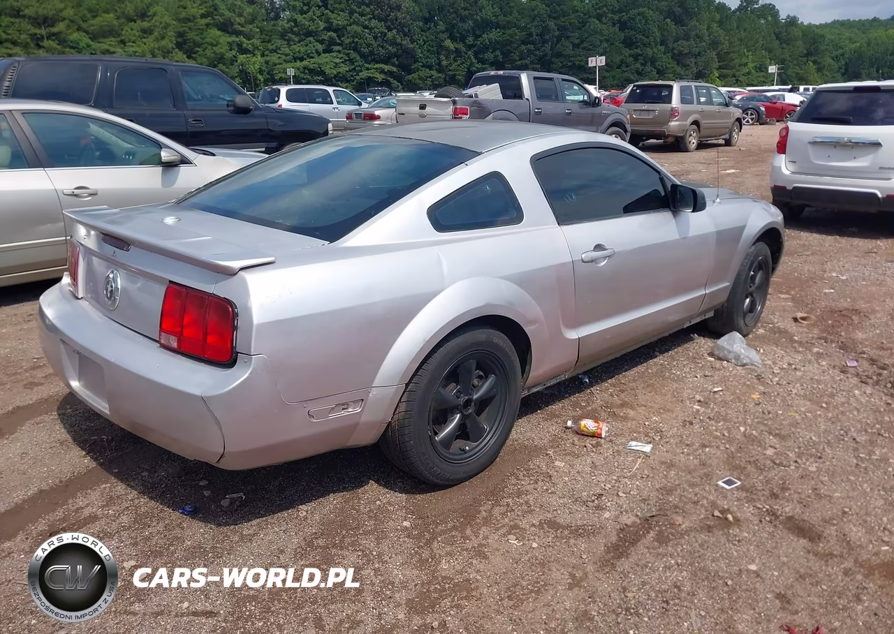 2008 Ford Mustang V6 Deluxe-V6 Premium VIN:1ZVHT80N585155014 - 4