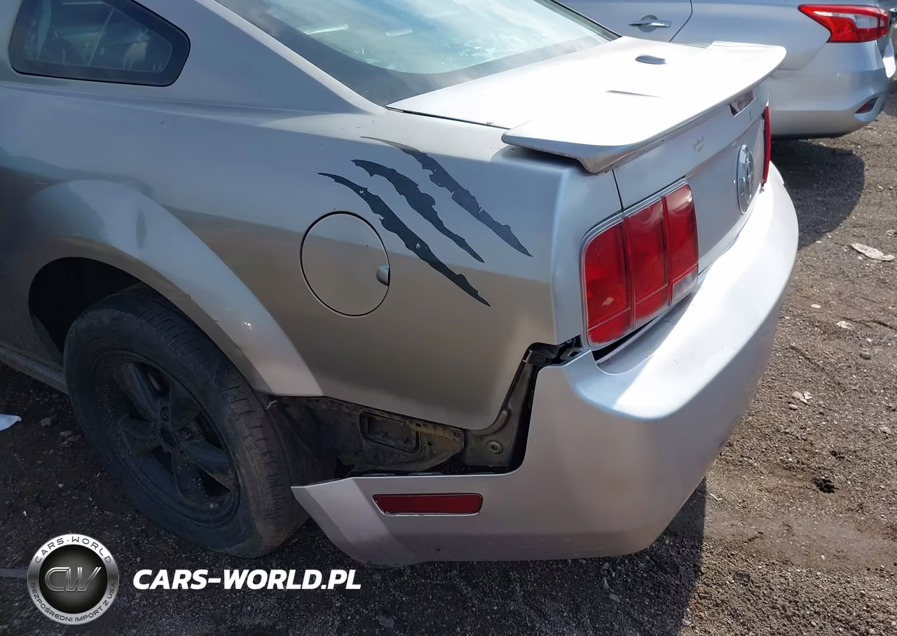 2008 Ford Mustang V6 Deluxe-V6 Premium VIN:1ZVHT80N585155014 - 6
