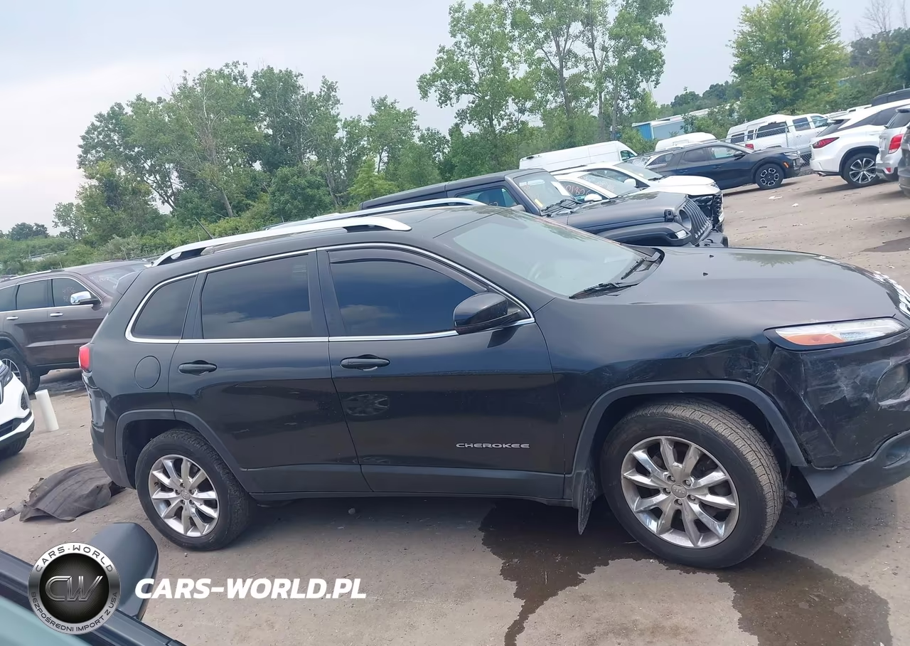 2014 Jeep Cherokee Limited VIN:1C4PJMDS6EW210606 - 13