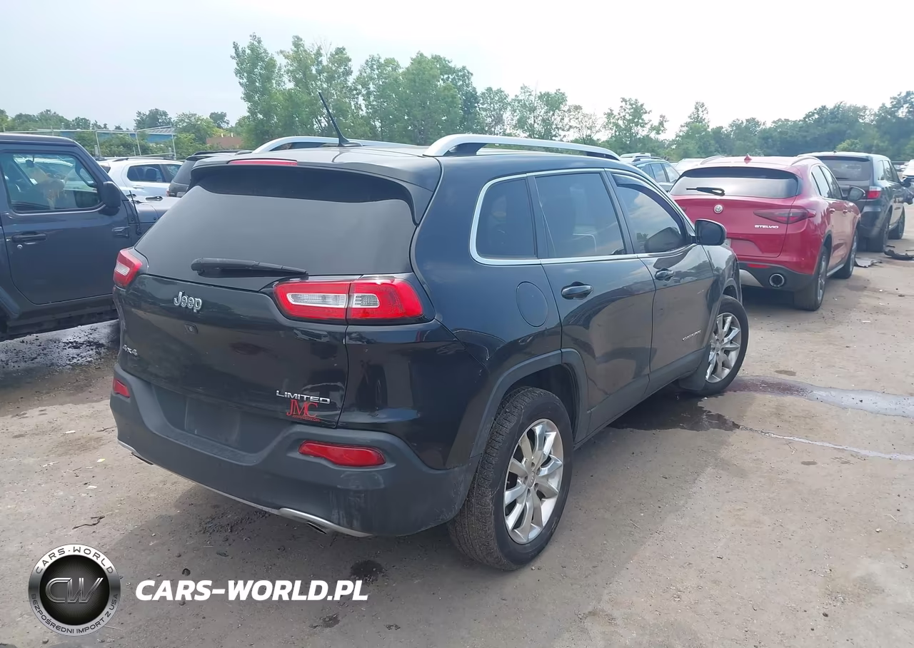 2014 Jeep Cherokee Limited VIN:1C4PJMDS6EW210606 - 4