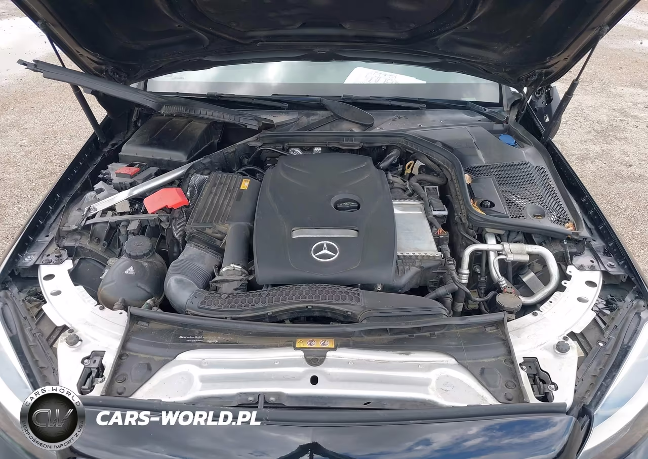 2018 Mercedes-Benz C 300 VIN:55SWF4JB5JU261156 - 10