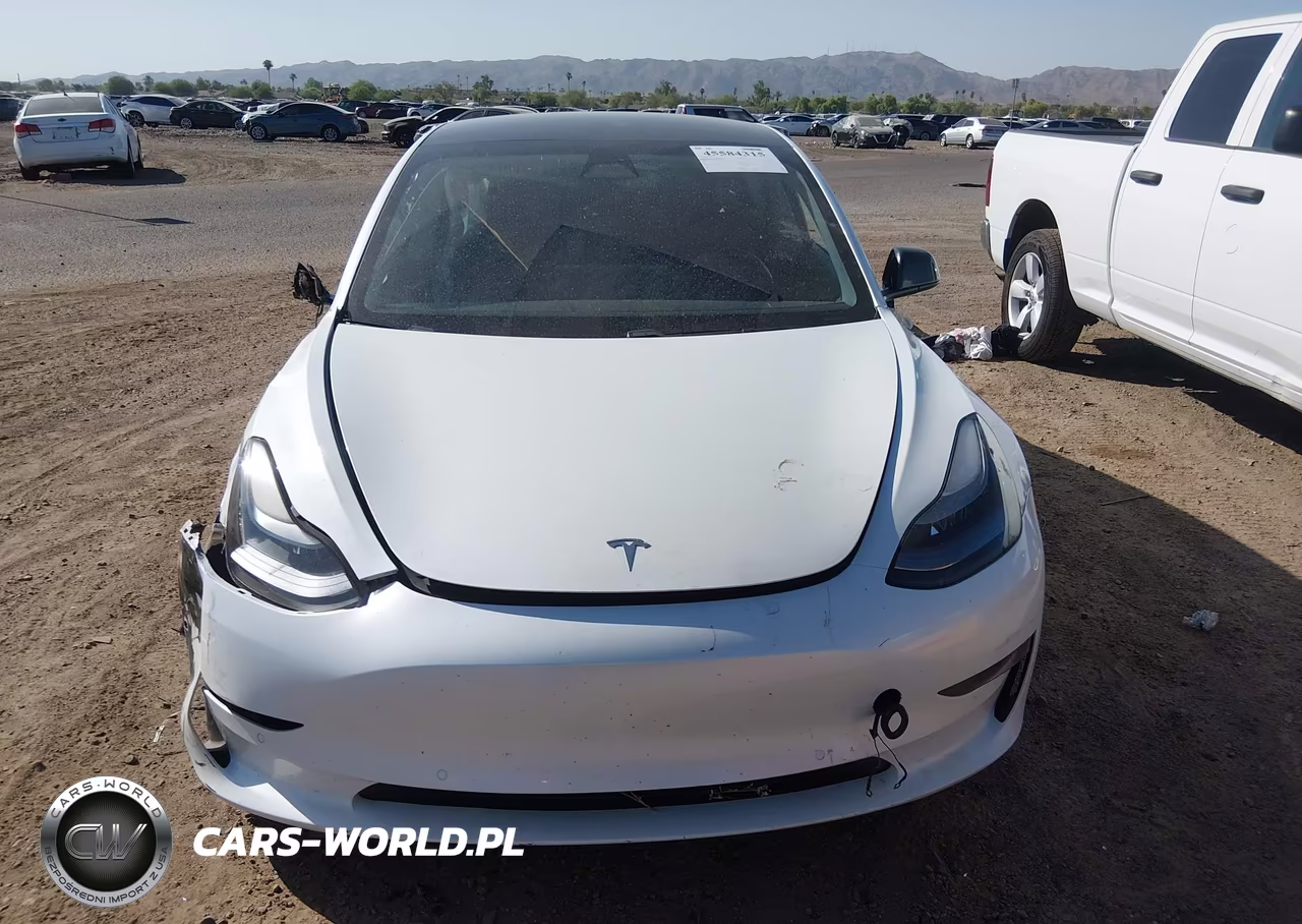 2021 Tesla Model 3 Standard Range Plus Rear-Wheel Drive VIN:5YJ3E1EA8MF002141 - 12