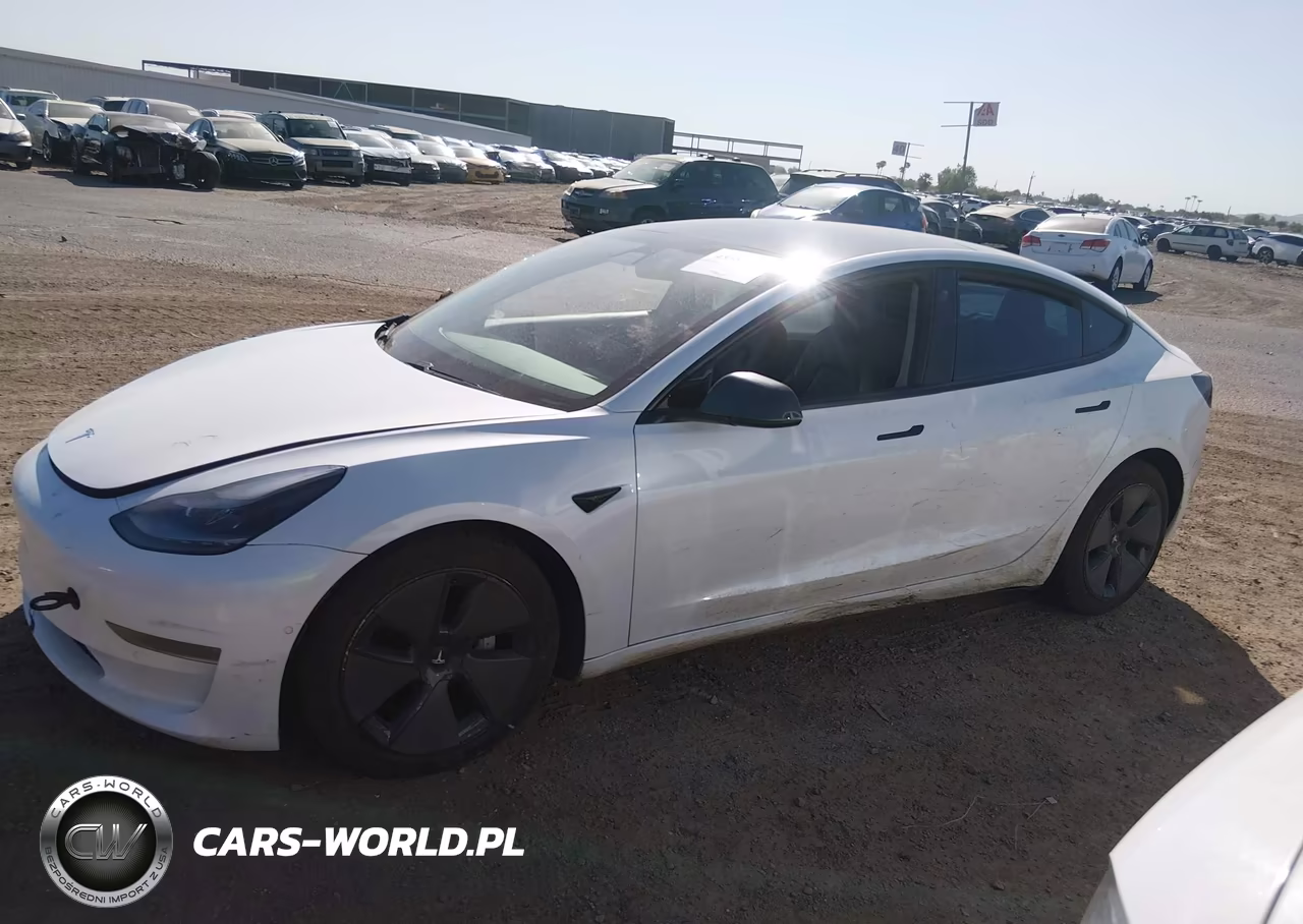 2021 Tesla Model 3 Standard Range Plus Rear-Wheel Drive VIN:5YJ3E1EA8MF002141 - 14