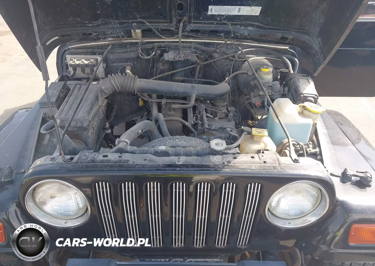1999 Jeep Wrangler Sahara VIN:1J4FY49S2XP432065 - 10