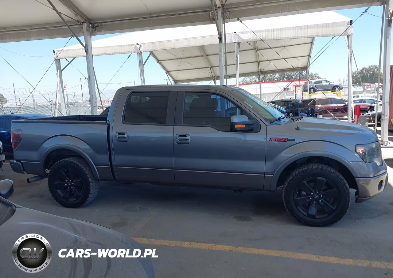 2013 Ford F-150 Fx2-King Ranch-Lariat-Limited-Platinum-Xl-Xlt VIN:1FTFW1CT2DFA06079 - 13
