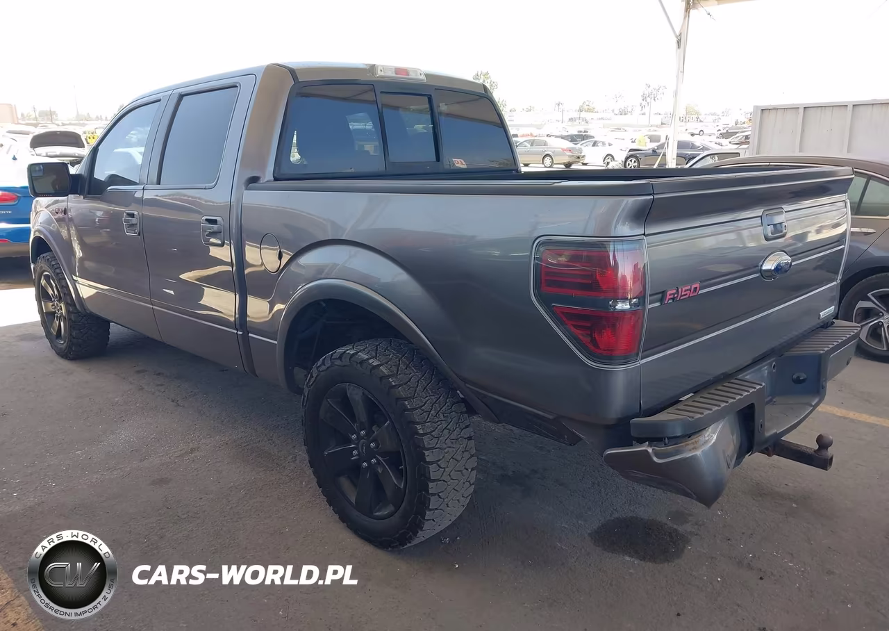 2013 Ford F-150 Fx2-King Ranch-Lariat-Limited-Platinum-Xl-Xlt VIN:1FTFW1CT2DFA06079 - 3