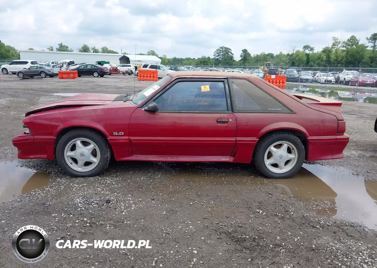 1991 Ford Mustang Gt-Cobra Gt VIN:1FACP42E4MF129683 - 14