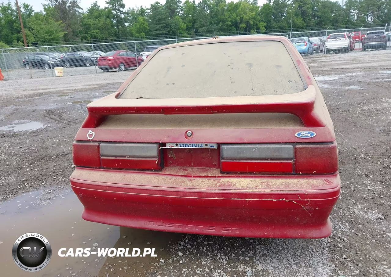 1991 Ford Mustang Gt-Cobra Gt VIN:1FACP42E4MF129683 - 16