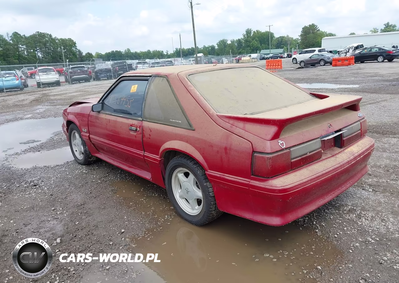 1991 Ford Mustang Gt-Cobra Gt VIN:1FACP42E4MF129683 - 3