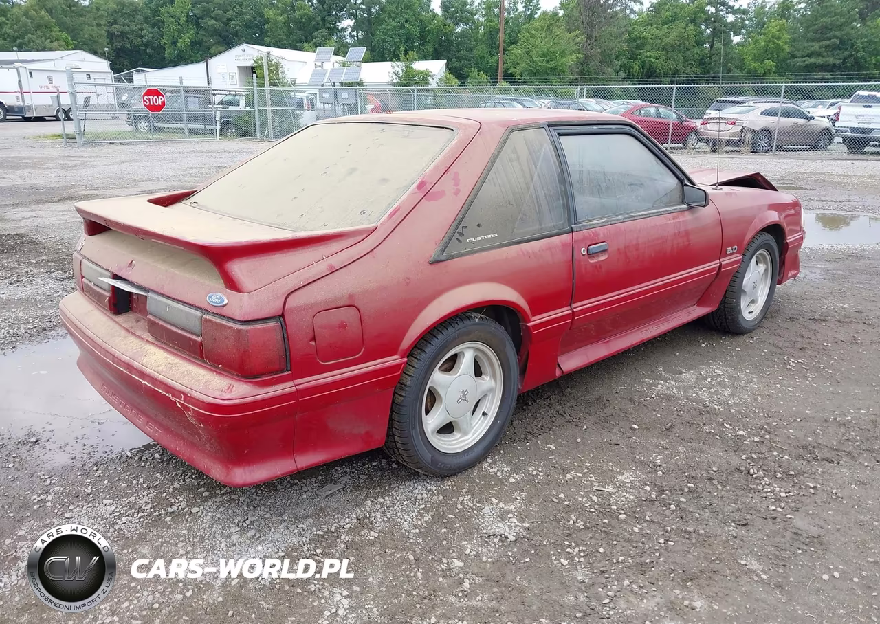 1991 Ford Mustang Gt-Cobra Gt VIN:1FACP42E4MF129683 - 4