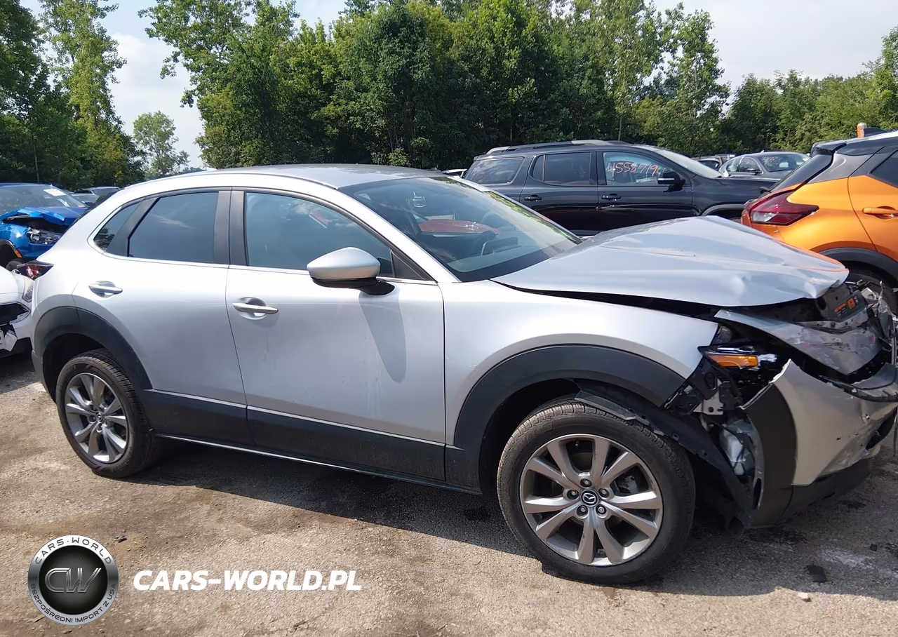 2020 Mazda Cx-30 Preferred Package VIN:3MVDMBDL7LM108881 - 13