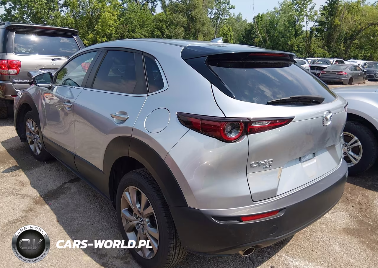 2020 Mazda Cx-30 Preferred Package VIN:3MVDMBDL7LM108881 - 3