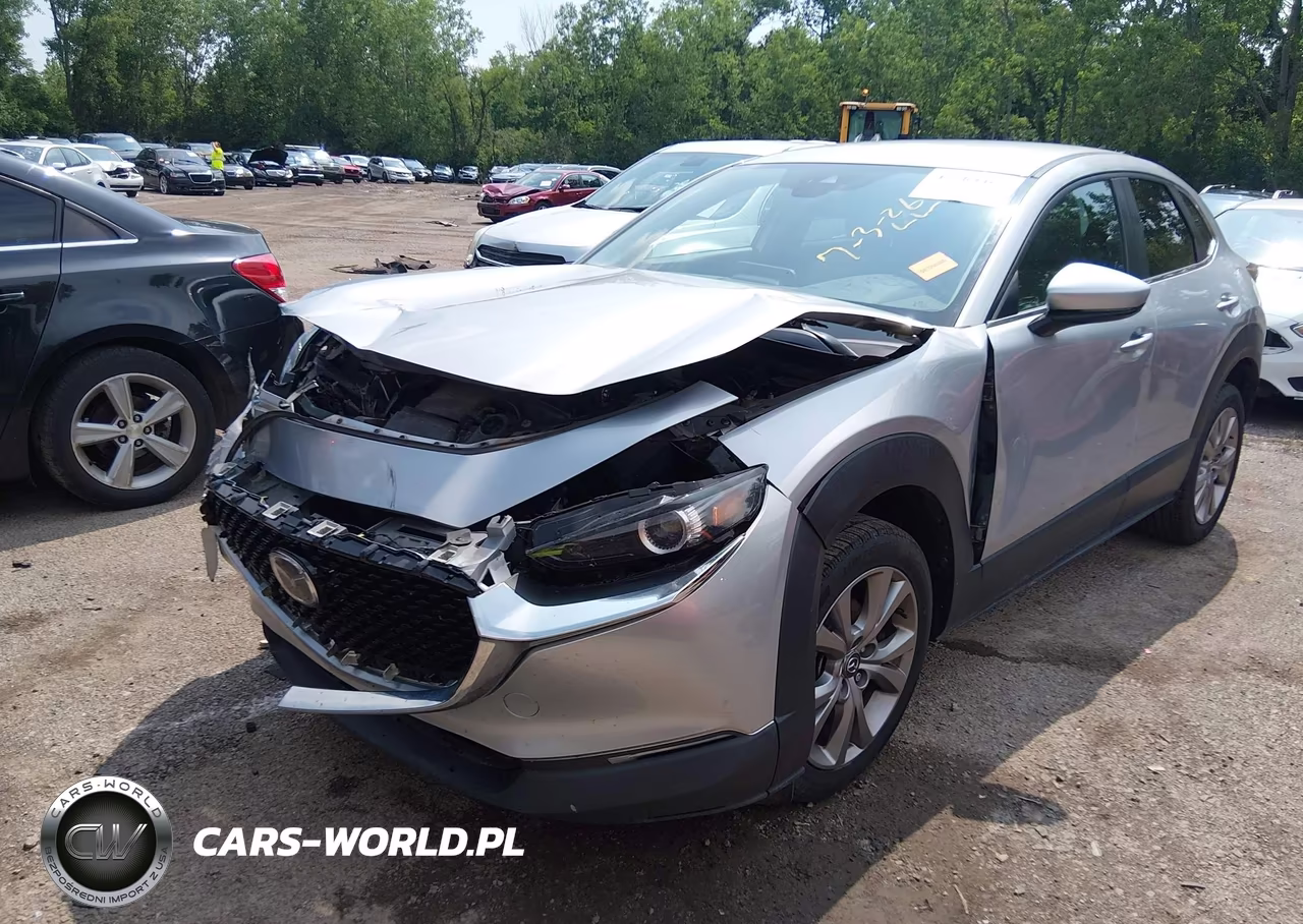 2020 Mazda Cx-30 Preferred Package VIN:3MVDMBDL7LM108881 - 6