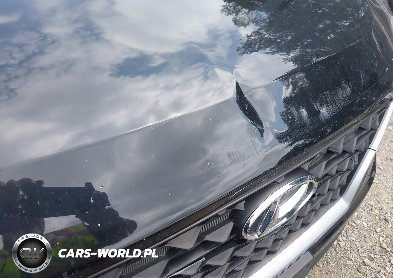 2019 Hyundai Tucson Se VIN:KM8J2CA41KU865083 - 17