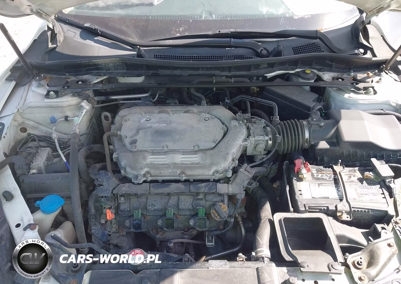 2014 Honda Accord Ex-L V-6 VIN:1HGCR3F81EA009486 - 10