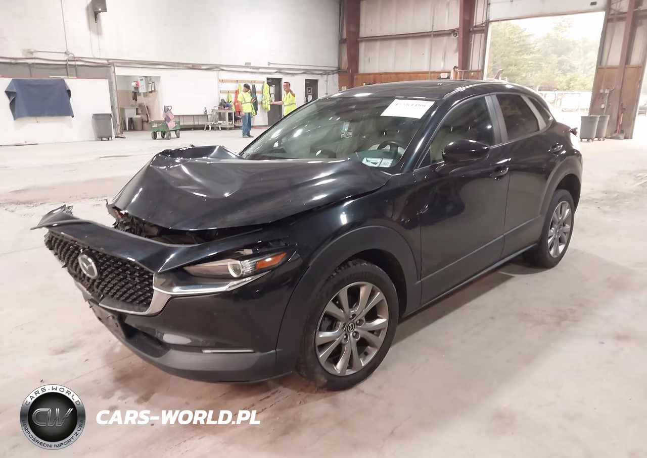 2021 Mazda Cx-30 Preferred VIN:3MVDMBCL8MM318196 - 2