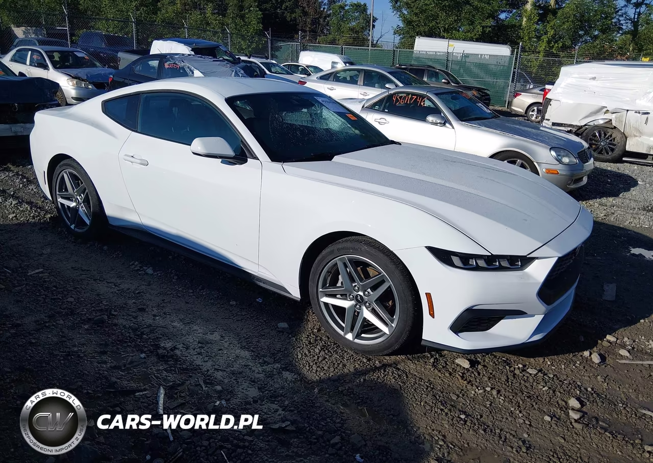 2024 Ford Mustang Ecoboost Fastback – zdjęcie 1 z 16