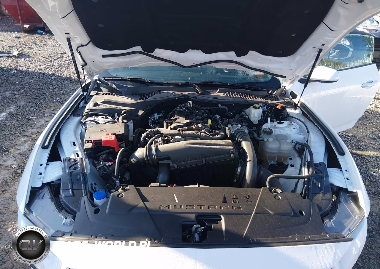 2024 Ford Mustang Ecoboost Fastback VIN:1FA6P8TH6R5113446 - 10