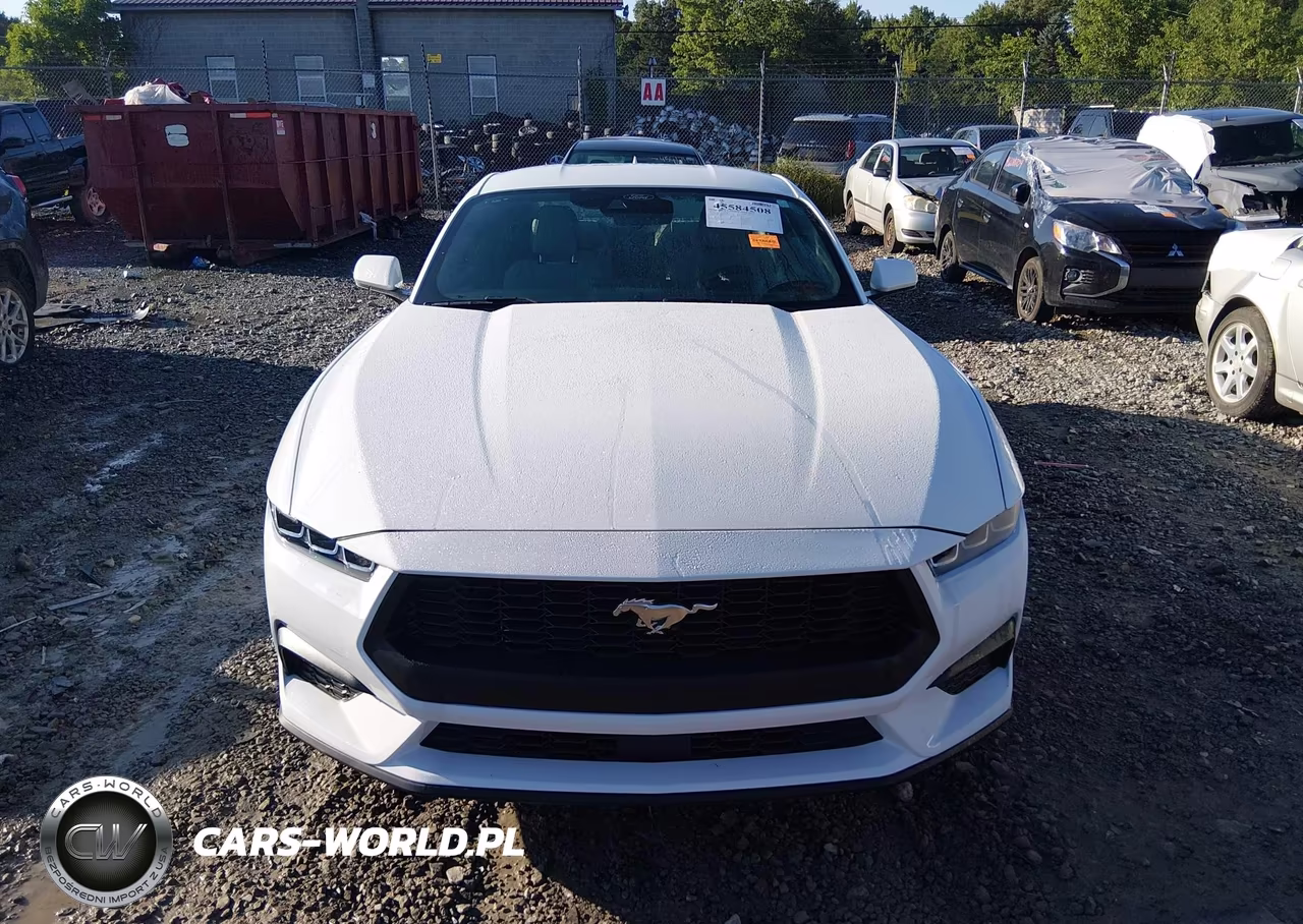 2024 Ford Mustang Ecoboost Fastback VIN:1FA6P8TH6R5113446 - 12