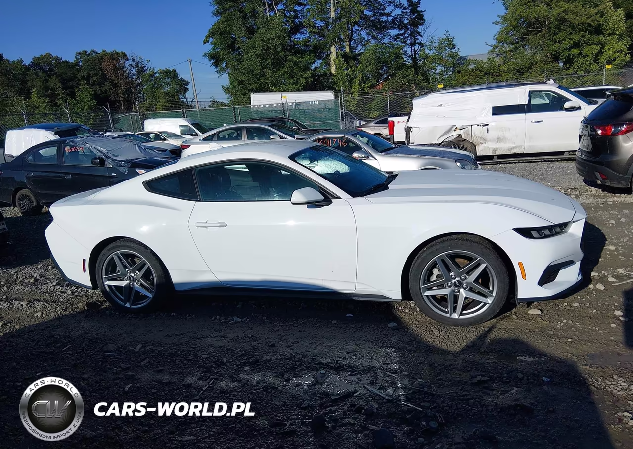 2024 Ford Mustang Ecoboost Fastback VIN:1FA6P8TH6R5113446 - 13
