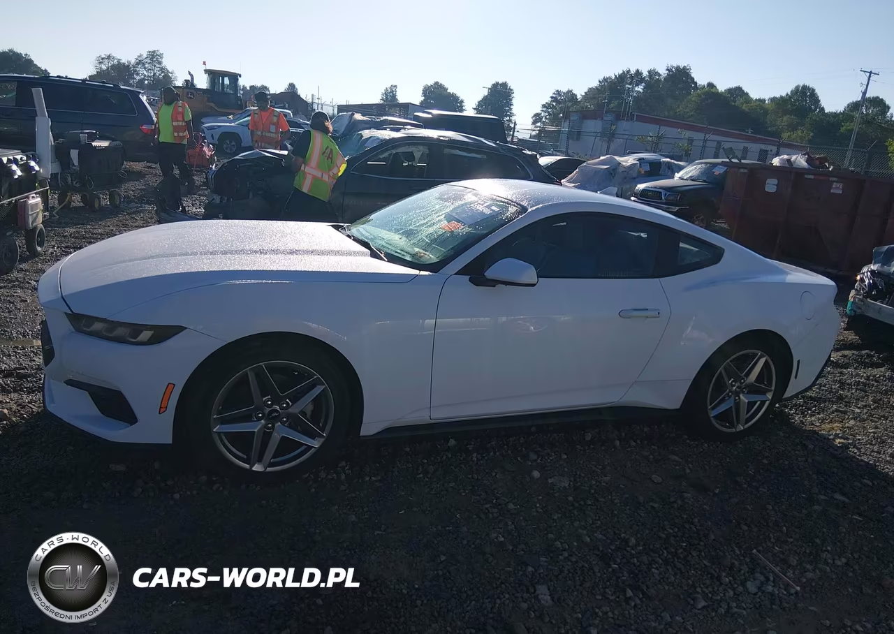 2024 Ford Mustang Ecoboost Fastback VIN:1FA6P8TH6R5113446 - 14