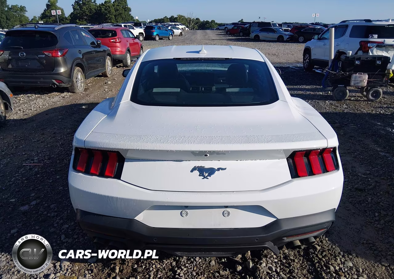 2024 Ford Mustang Ecoboost Fastback VIN:1FA6P8TH6R5113446 - 16
