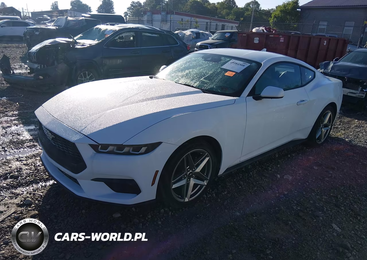 2024 Ford Mustang Ecoboost Fastback VIN:1FA6P8TH6R5113446 - 2
