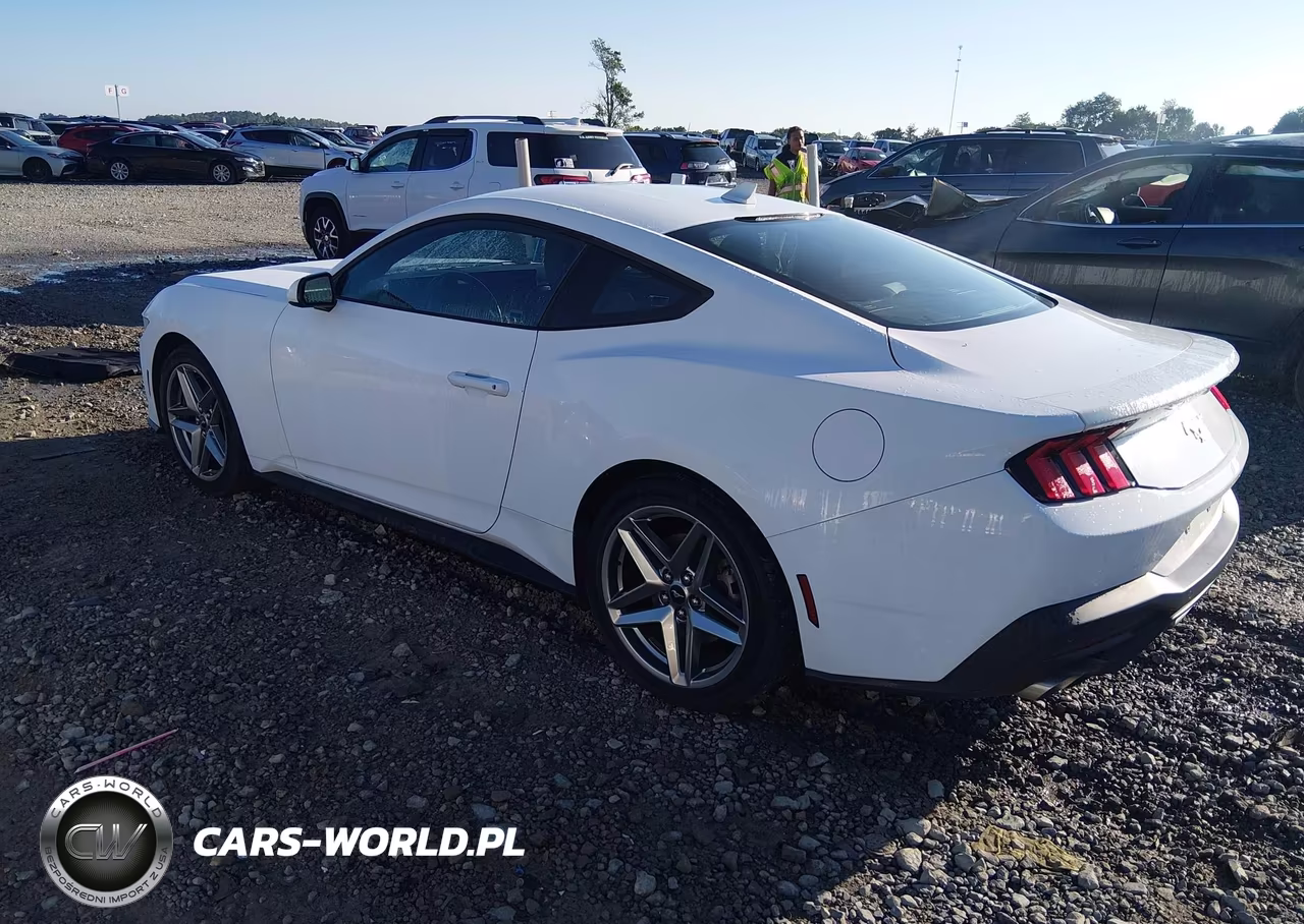 2024 Ford Mustang Ecoboost Fastback VIN:1FA6P8TH6R5113446 - 3