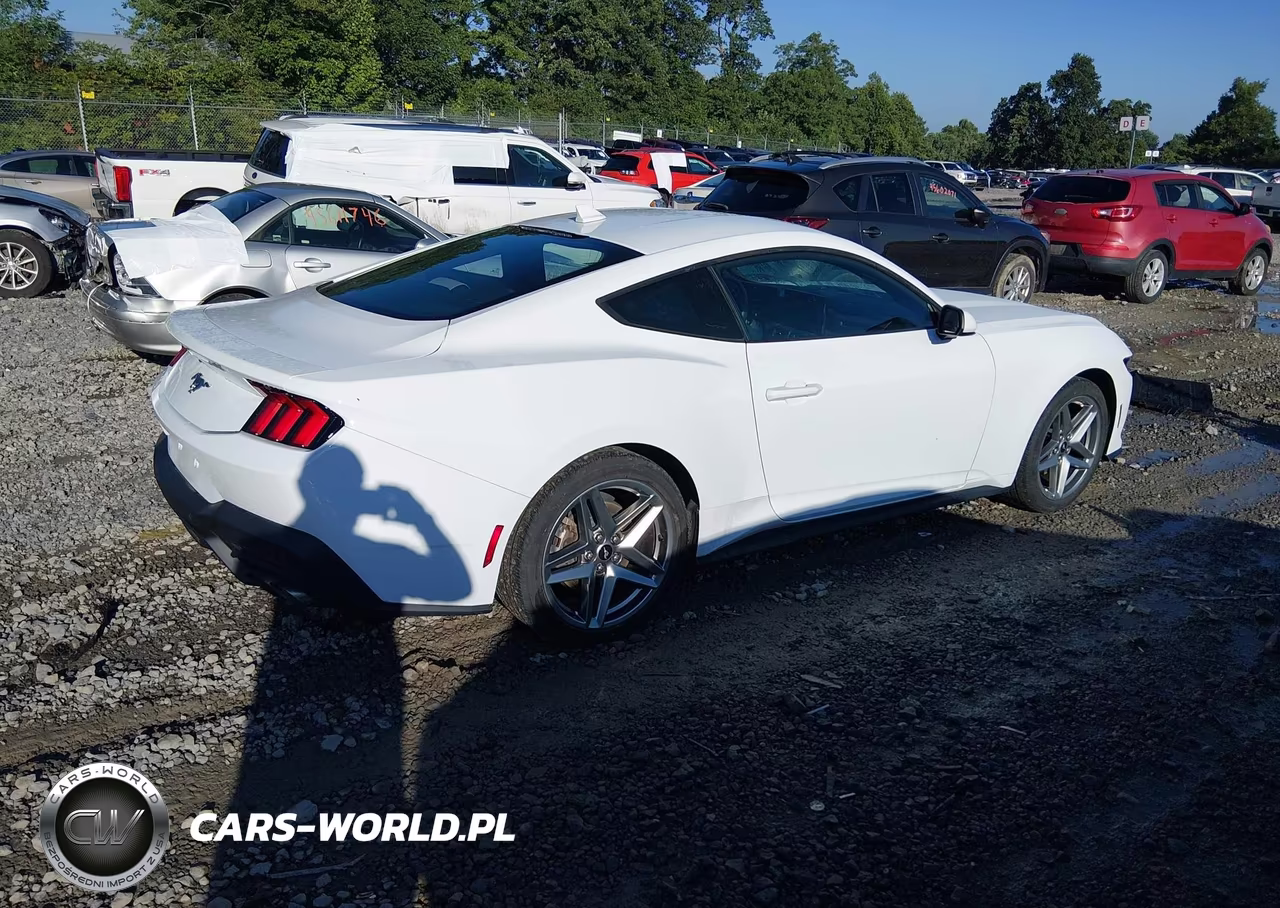 2024 Ford Mustang Ecoboost Fastback VIN:1FA6P8TH6R5113446 - 4