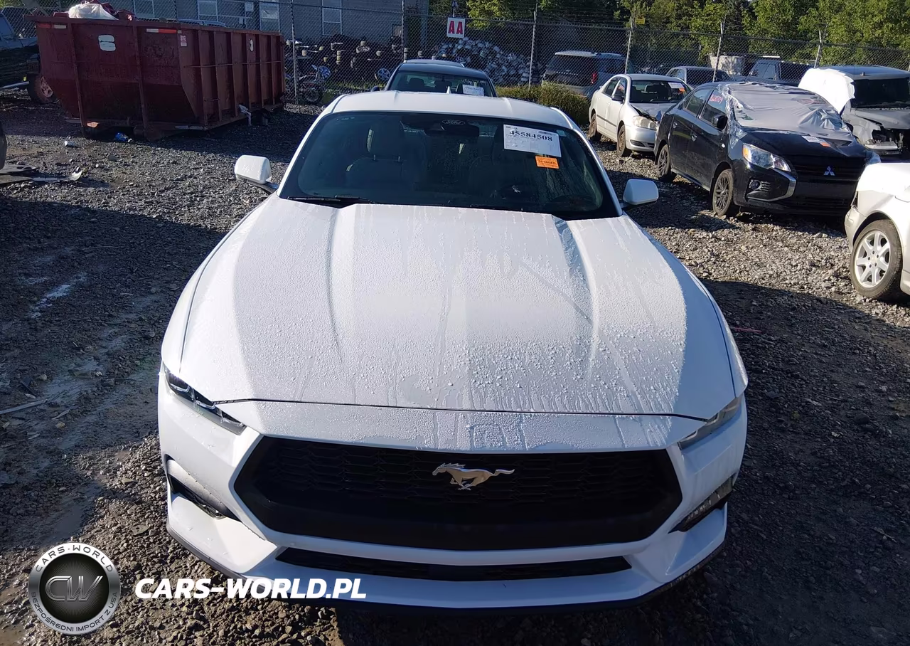 2024 Ford Mustang Ecoboost Fastback VIN:1FA6P8TH6R5113446 - 6