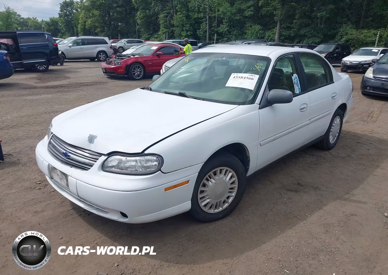2001 Chevrolet Malibu VIN:1G1ND52J316223556 - 2