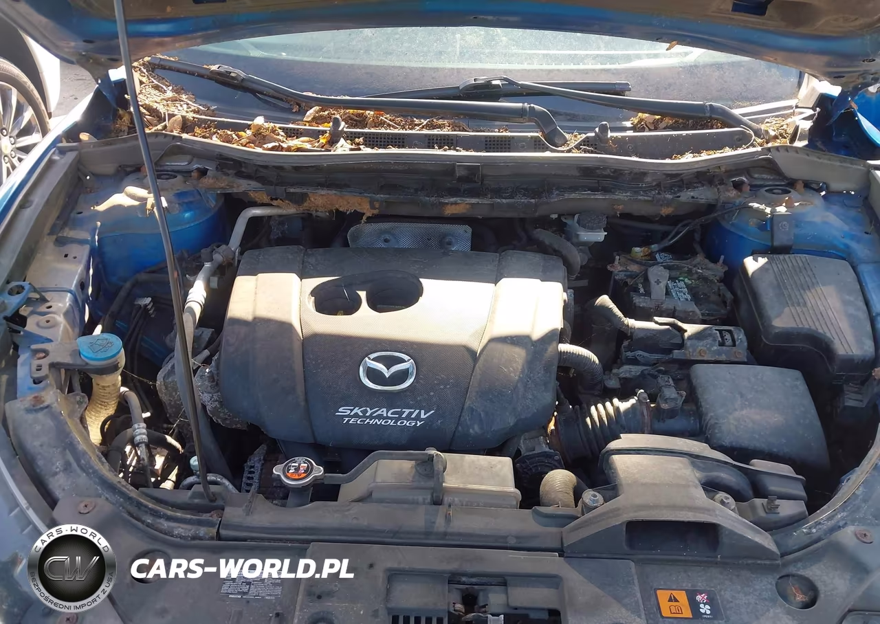 2014 Mazda Cx-5 Sport VIN:JM3KE2BE1E0301969 - 10