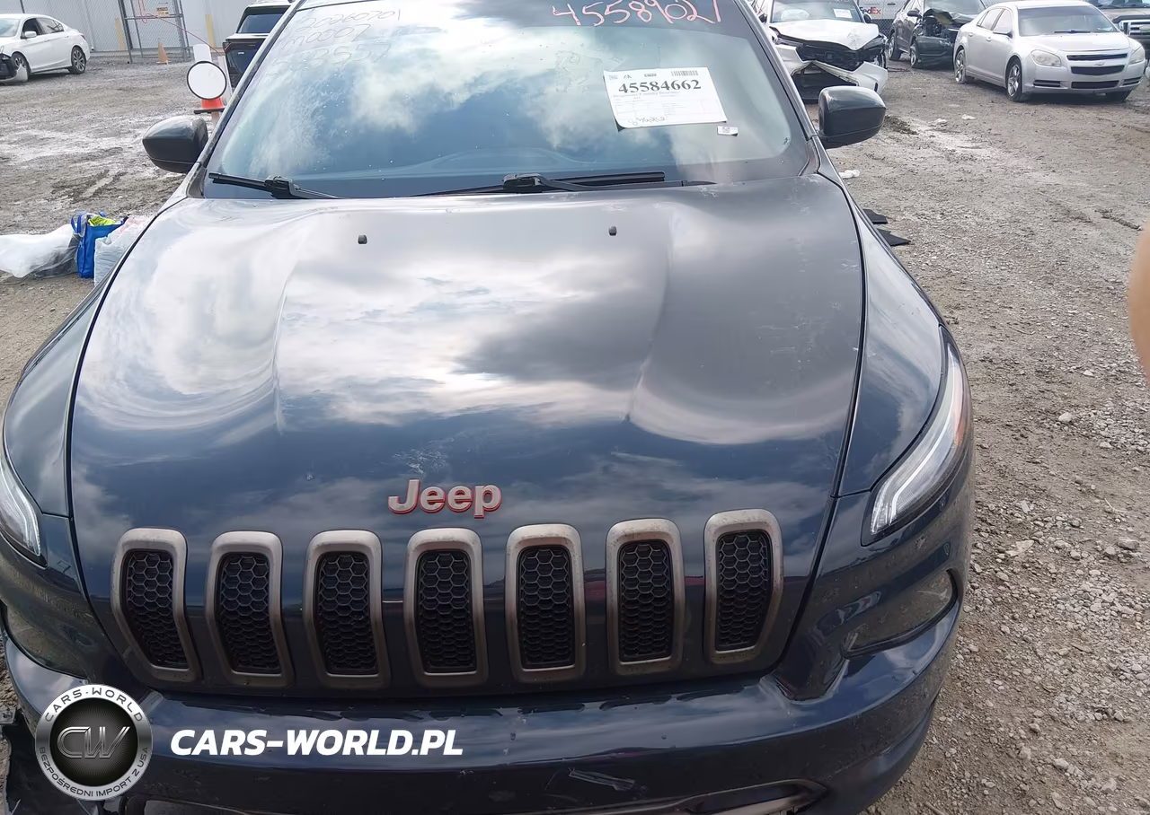 2017 Jeep Cherokee 75Th Anniversary Edition VIN:1C4PJMCB0HW563557 - 12