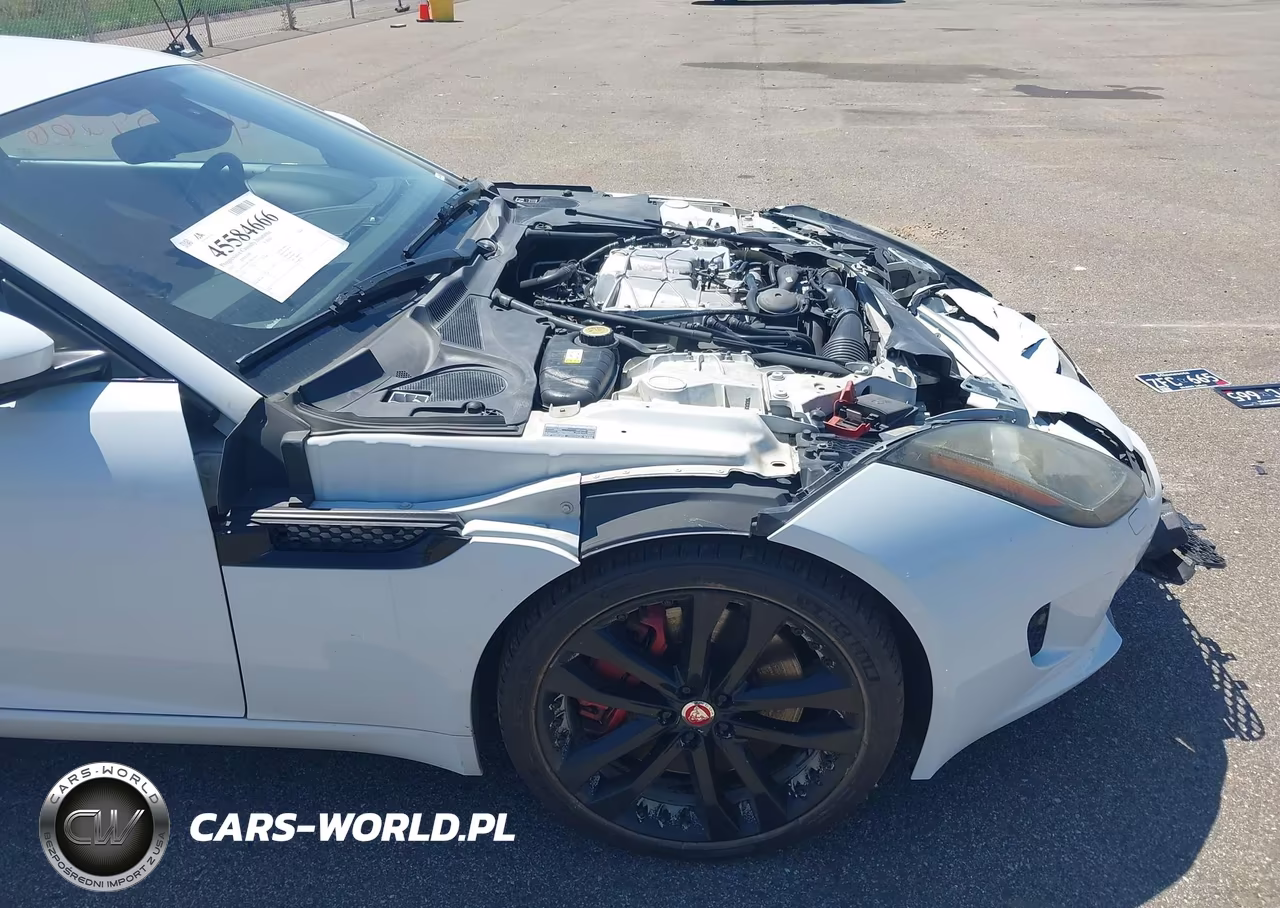 2015 Jaguar F-Type S VIN:SAJWA6BU5F8K17954 - 19
