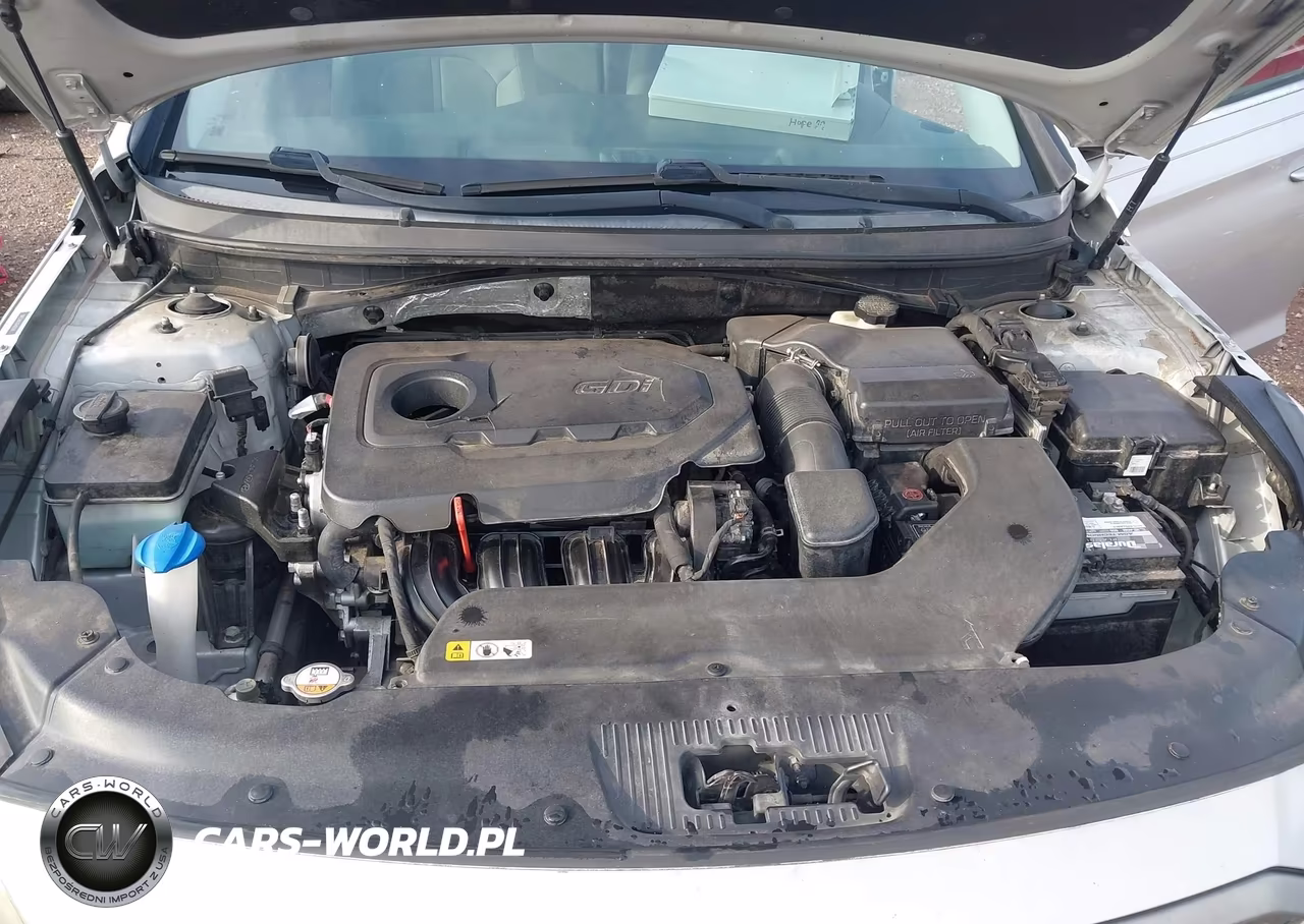 2016 Hyundai Sonata Sport VIN:5NPE34AF1GH420161 - 10