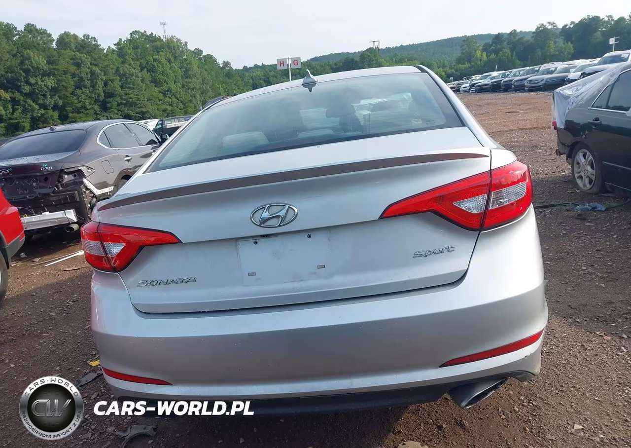 2016 Hyundai Sonata Sport VIN:5NPE34AF1GH420161 - 16