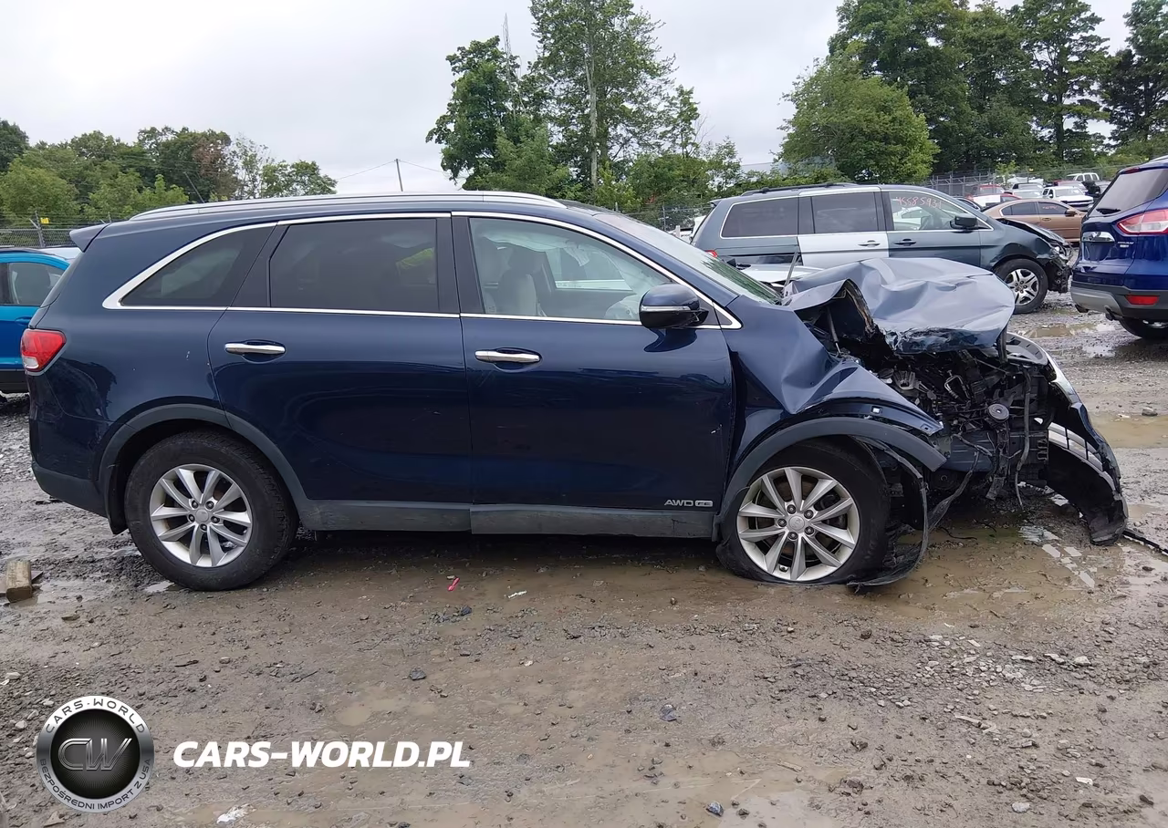 2018 Kia Sorento 3.3L Lx VIN:5XYPGDA5XJG416466 - 13