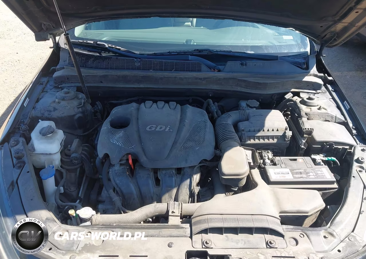 2015 Kia Optima Lx VIN:5XXGM4A74FG354018 - 10