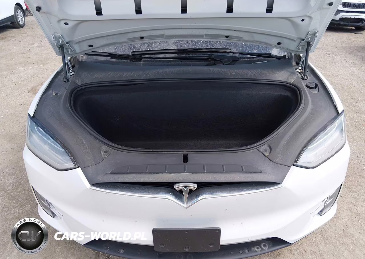 2020 Tesla Model X Long Range Dual Motor All-Wheel Drive-Long Range Plus Dual Motor All-Wheel Drive VIN:5YJXCAE22LF262324 - 10